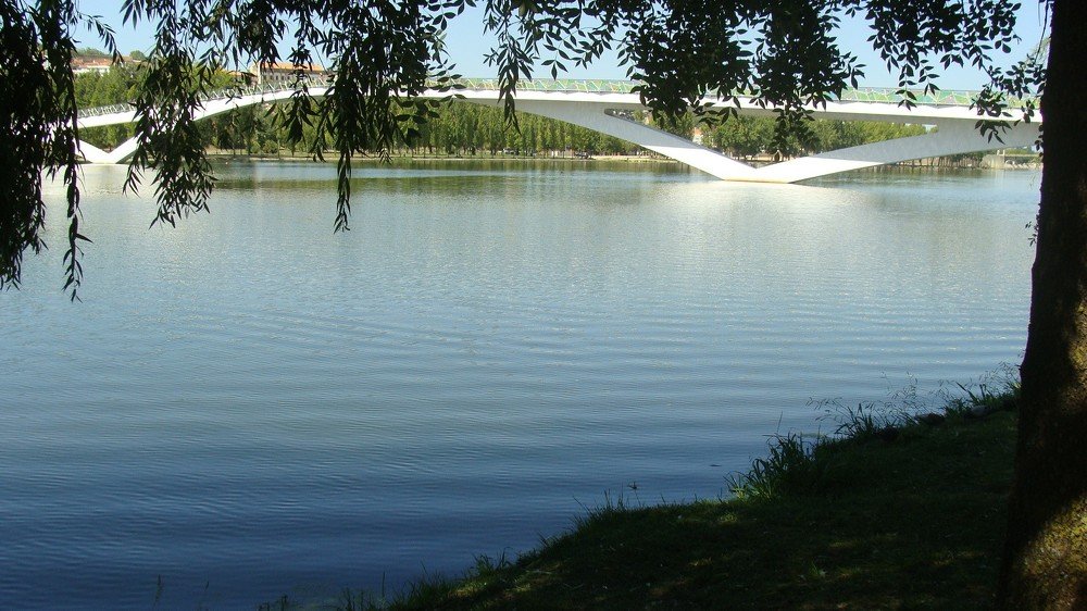 Rio Mondego
