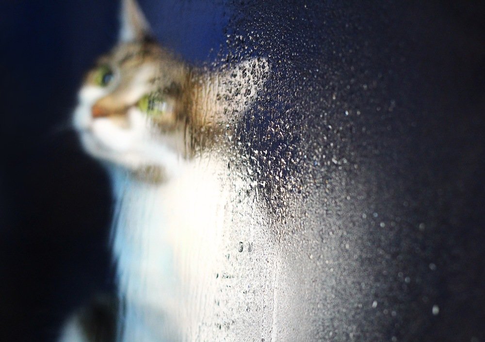 Photograph by Ирина Семячкова