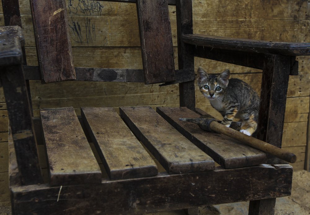 Surprise there this minina, you already worked