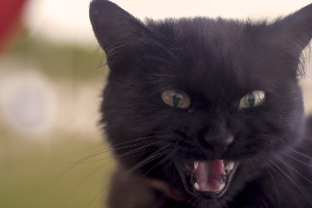 Photograph by Олег