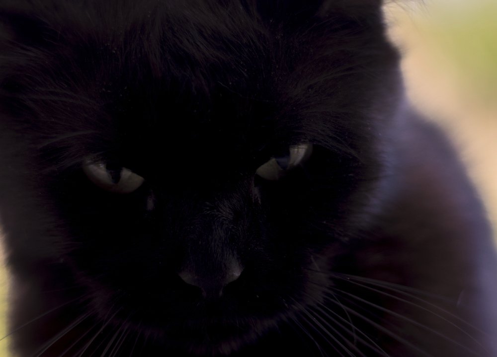 Photograph by Олег