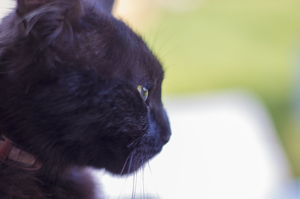 Photograph by Олег