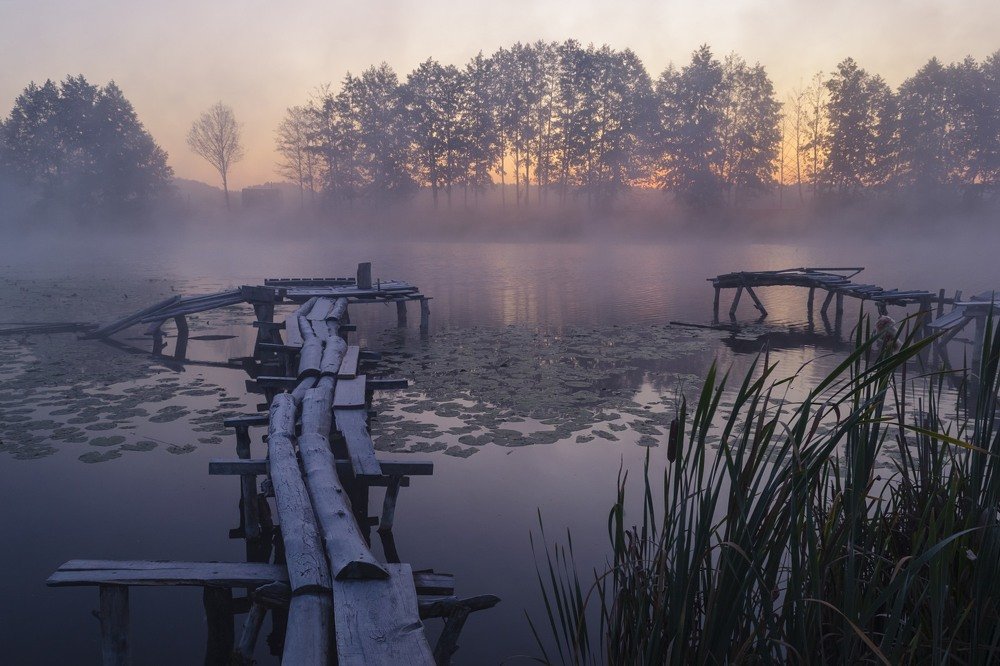 Тихая заводь