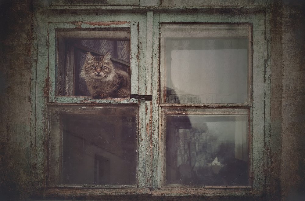 Поздняя осень...