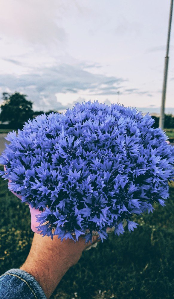 Photograph by Игнат Крошко