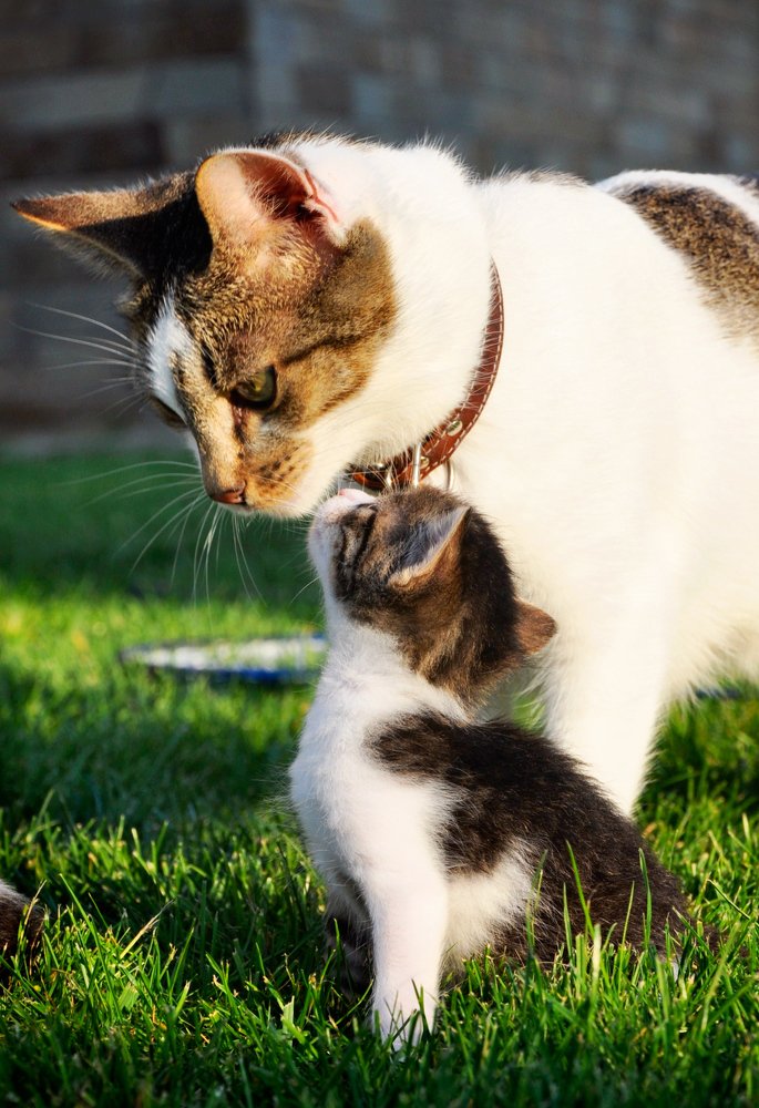 Photograph by Елена Галактионова