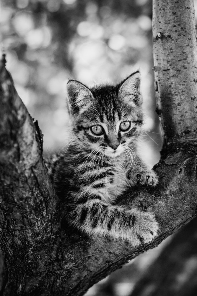 Photograph by Olesya Mikhailova