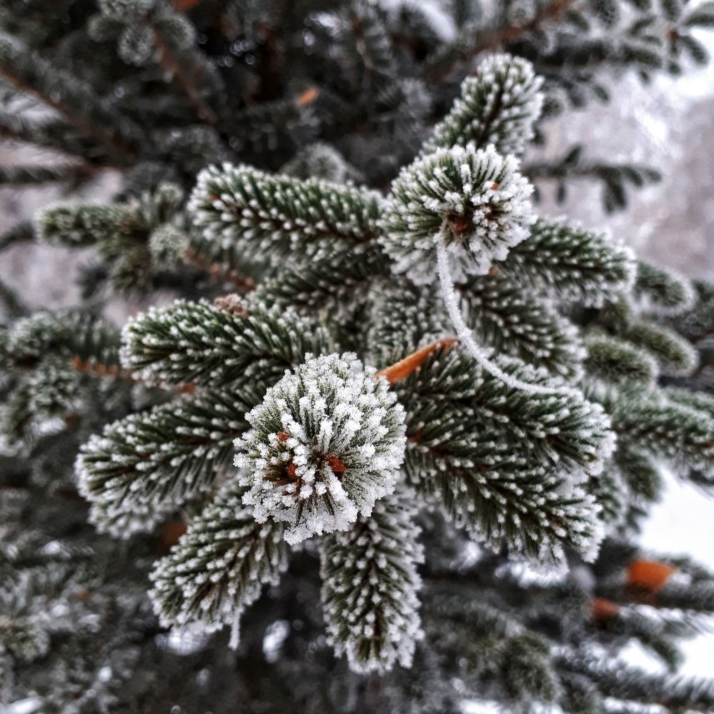 Фотография автора Дарина