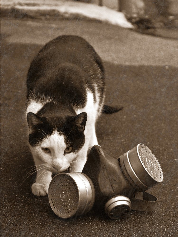 Не смешно зато про войну