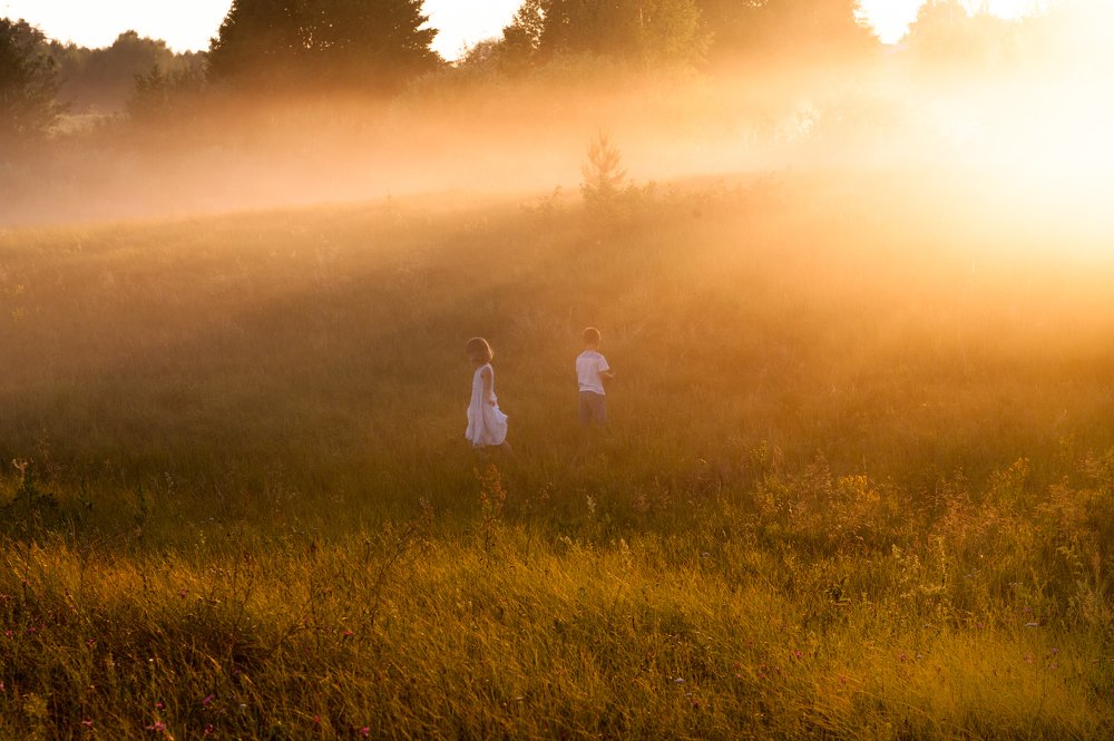 В поисках волшебства