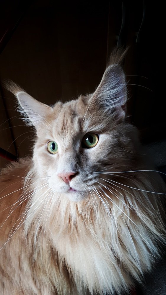 Фотография автора Дарина