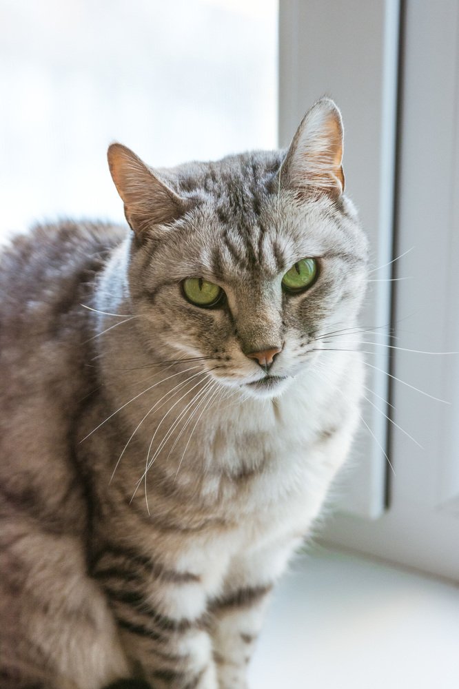 Photograph by Alisa Black