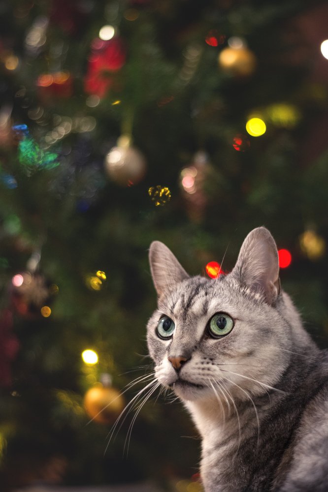 Photograph by Alisa Black