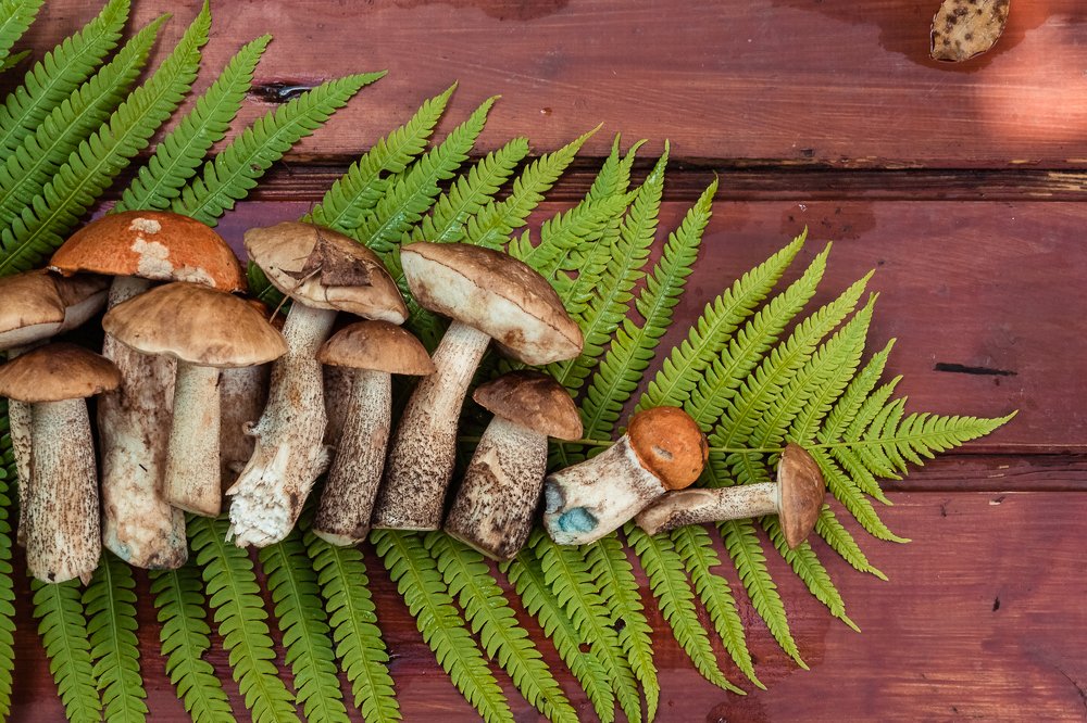 Прелести тихой охоты