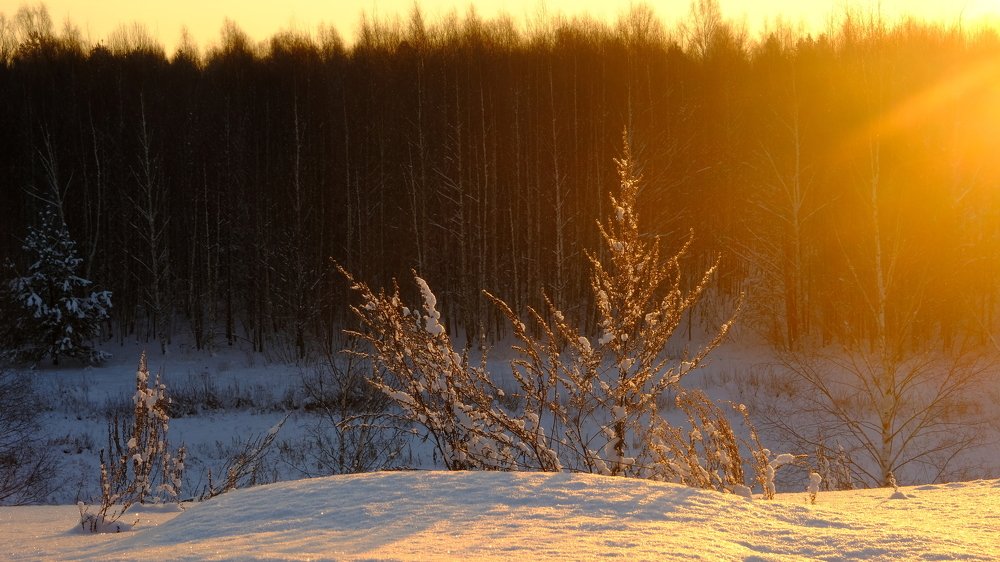 Зимнее утро