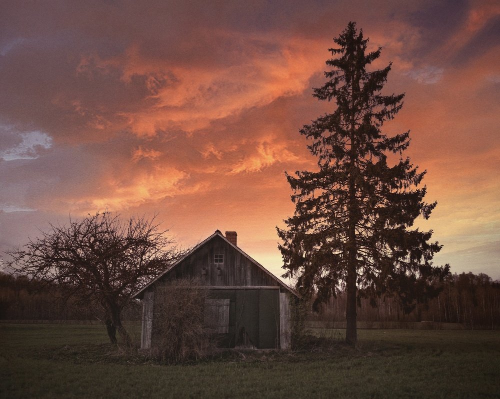 Дом возле ели.