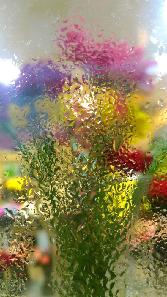 Photo #3383636