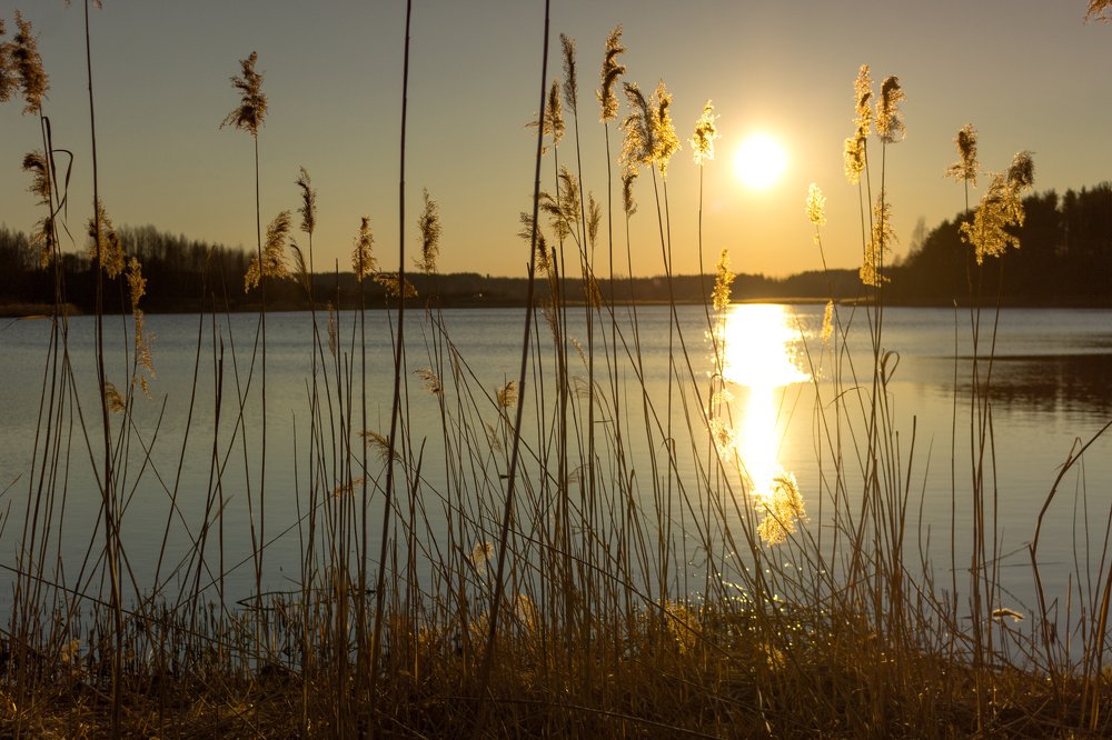 Нежный закат
