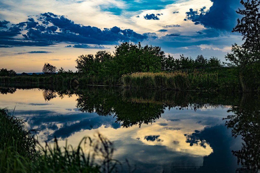 Природа в городе