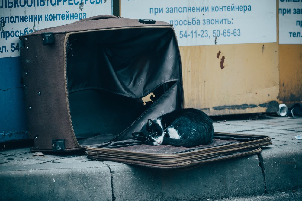 Одиночество