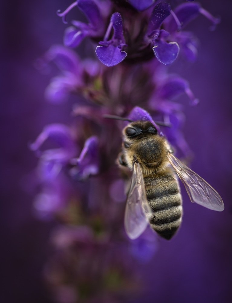 Фотография автора Константин Яковлев