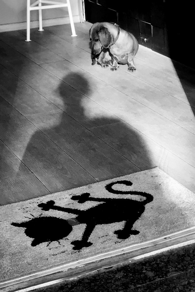 Фотография автора Даша Орлянская