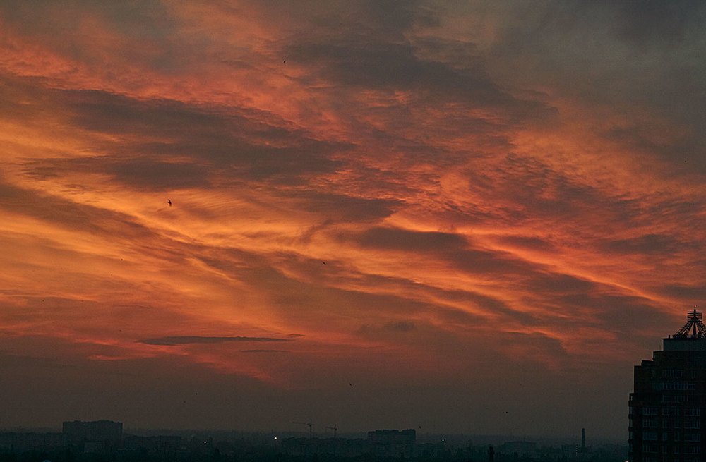 Вечерний свет