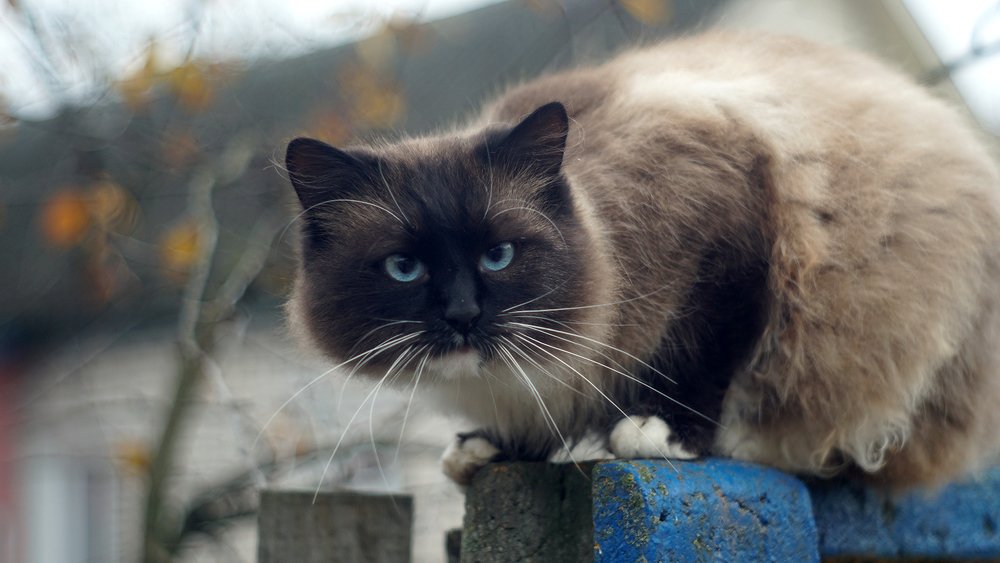 Photograph by Dzianis Mizhui