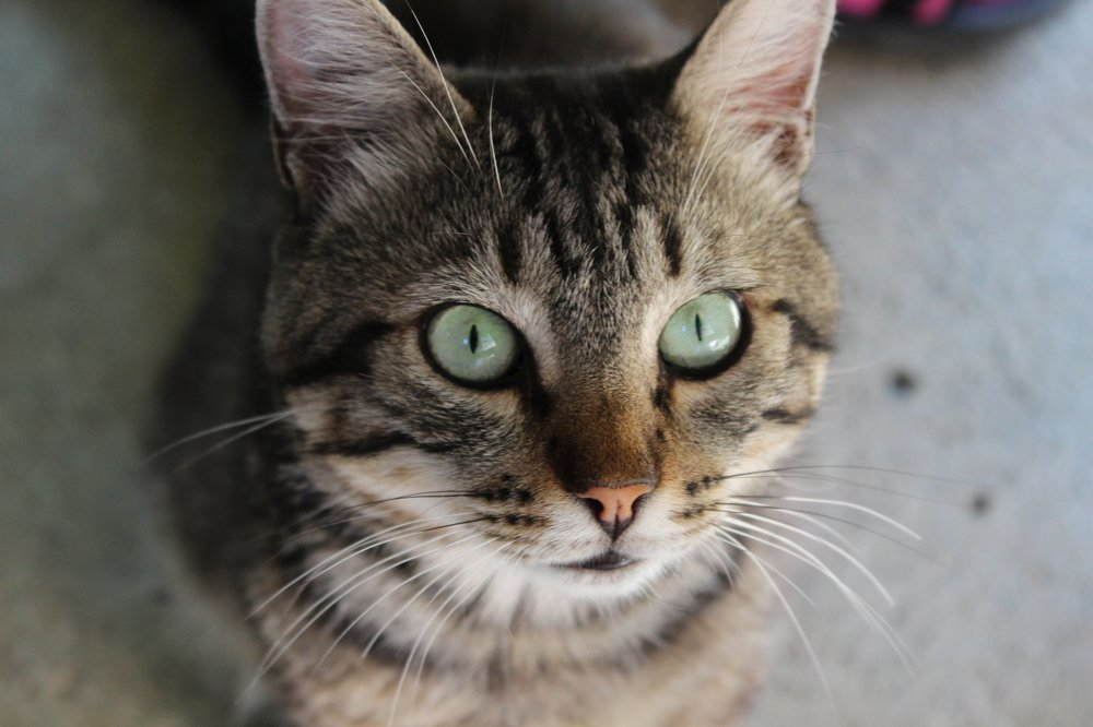 Photograph by Виталий