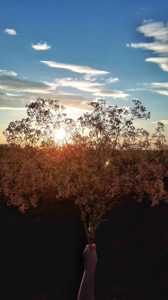 Фотография автора Дарина