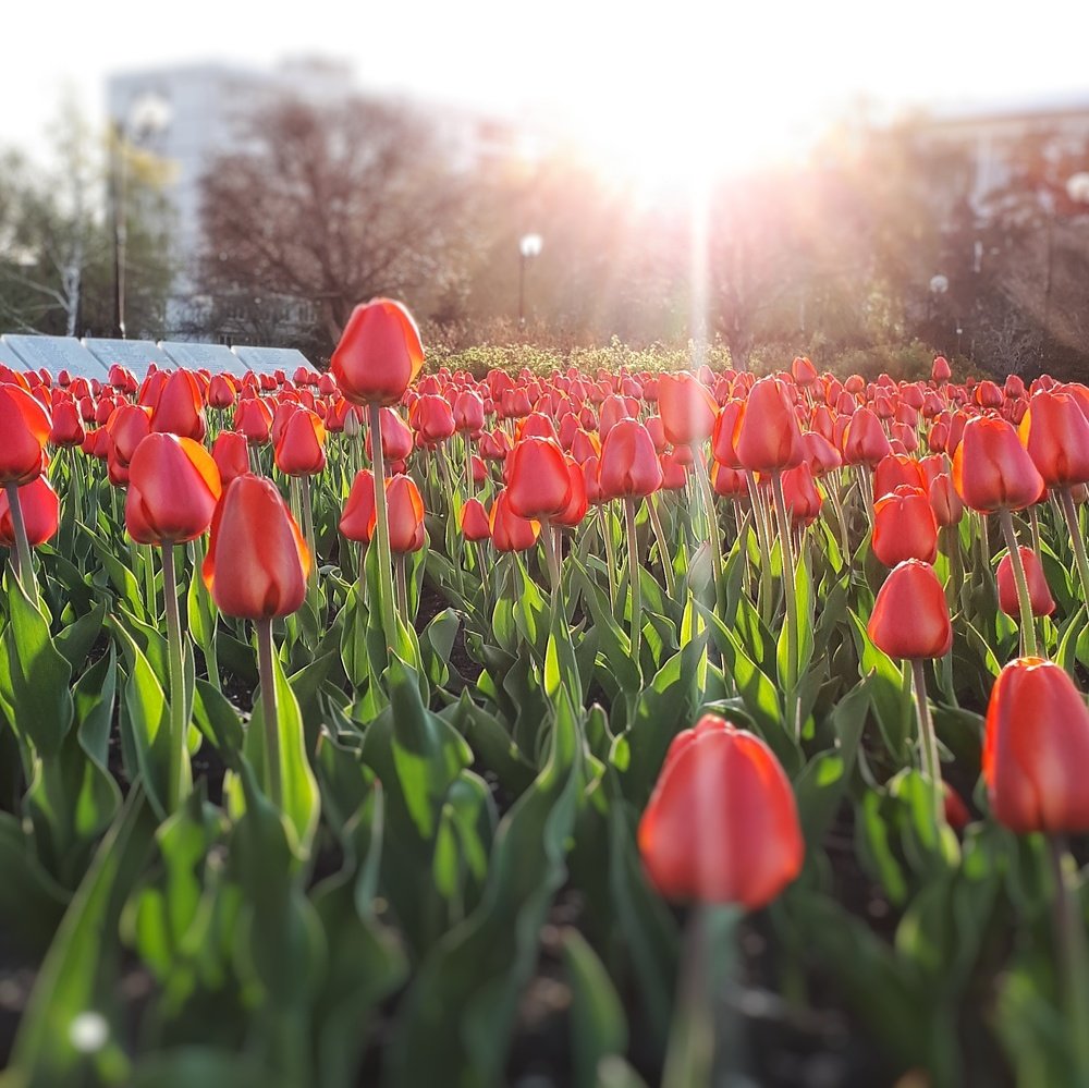 Фотография автора Дарина
