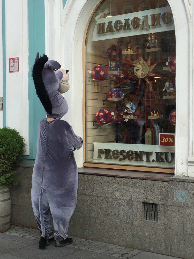 Фотография автора Анастасия Лившиц