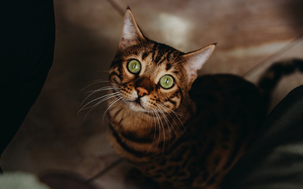 Photograph by Евгений Корниенко