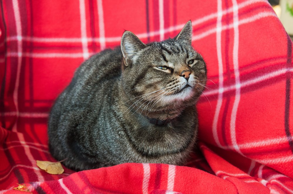 Степан осенью