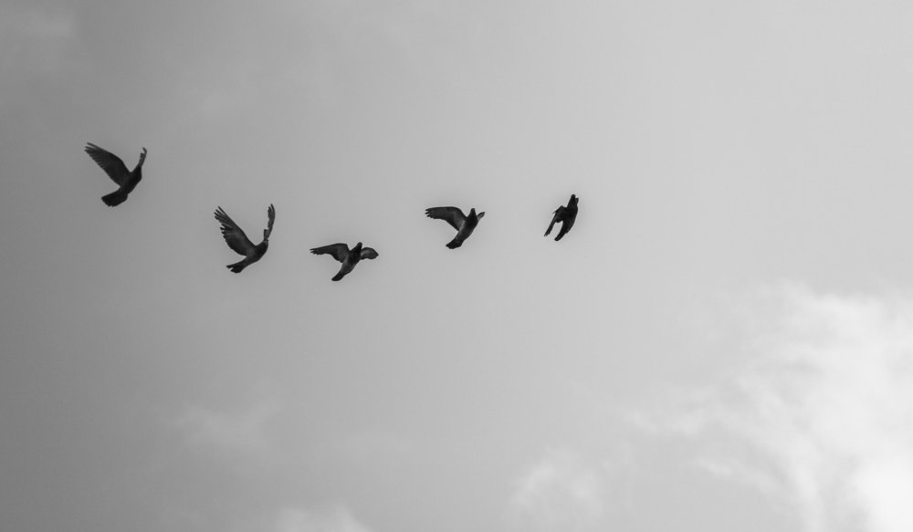 Photograph by Matineh Ahmadi