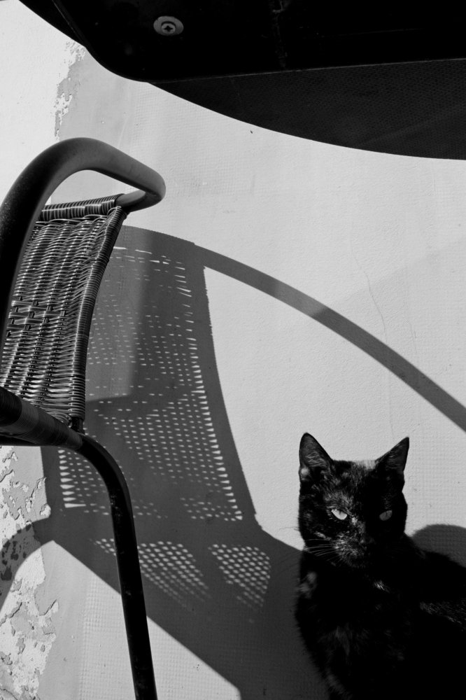 Портрет с креслом