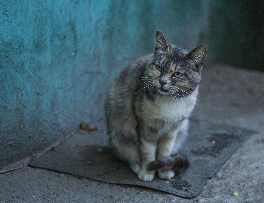 Photograph by Мария