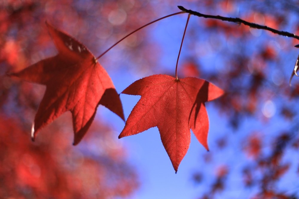 Photograph by Juan Pavlovsky