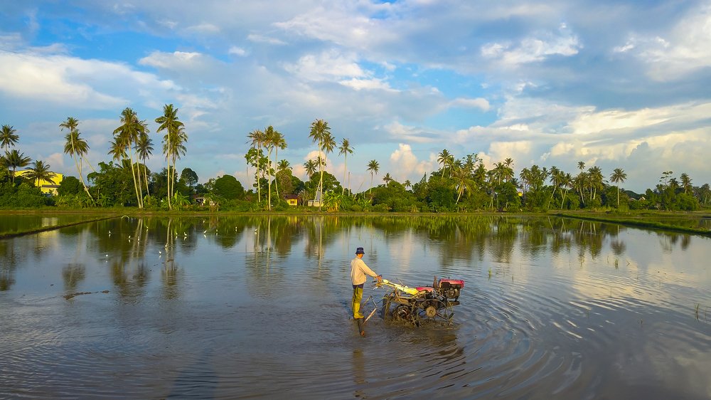 my hole time in village