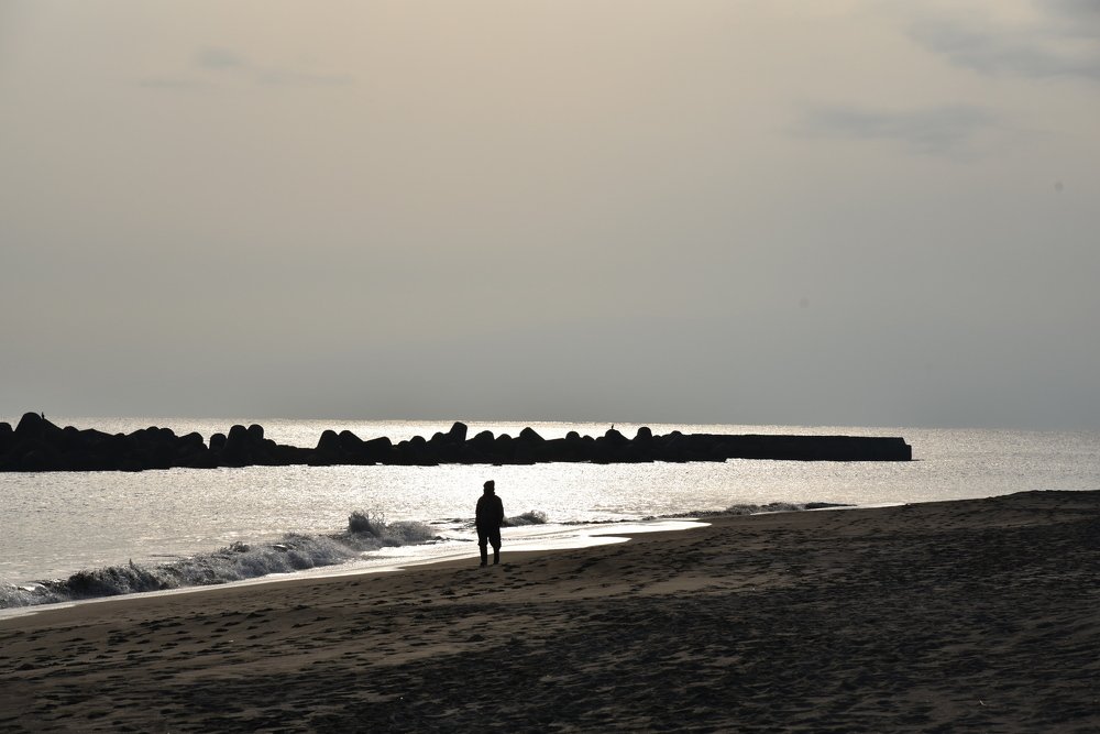 Traveler and the sea