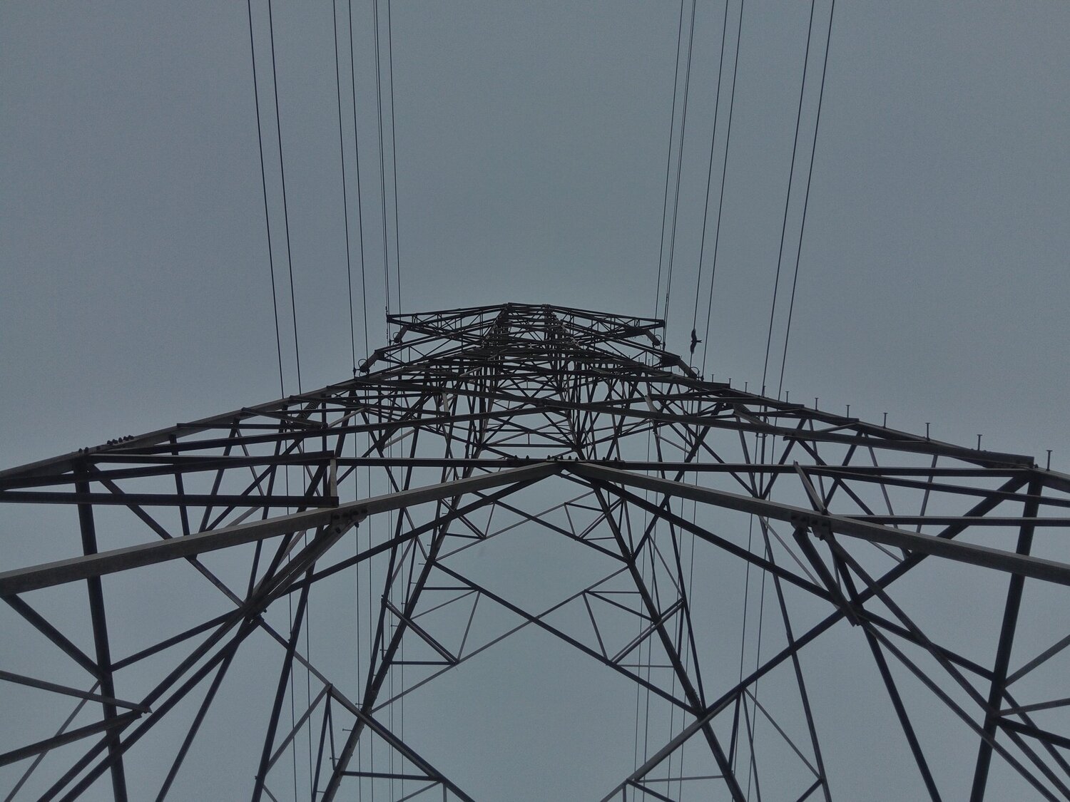 Tower