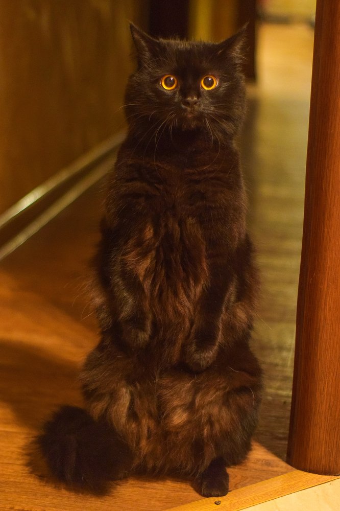 Photograph by Алена Межевова