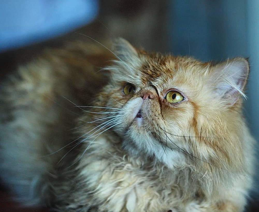 Photograph by Юлия Саморукова