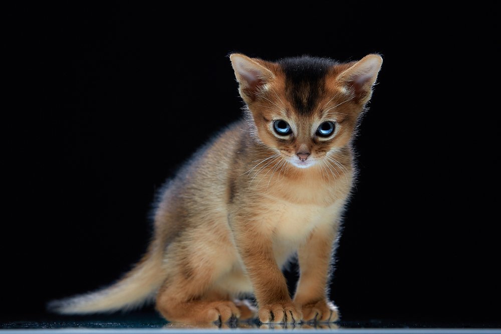 Поговорим...