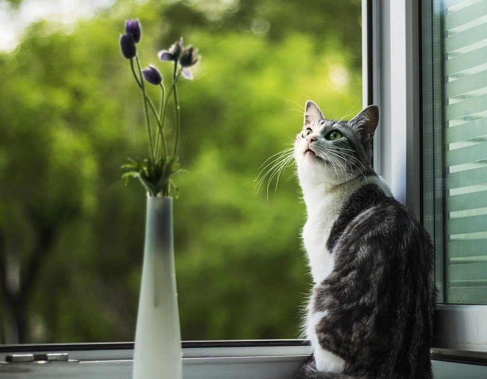 Photograph by Мария