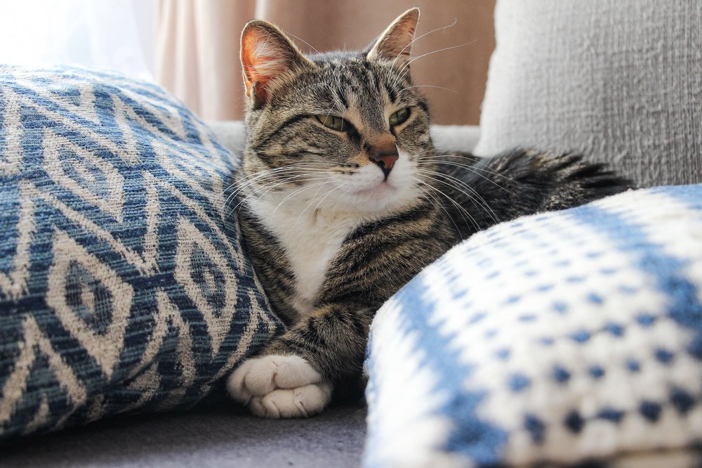 Photograph by Michael