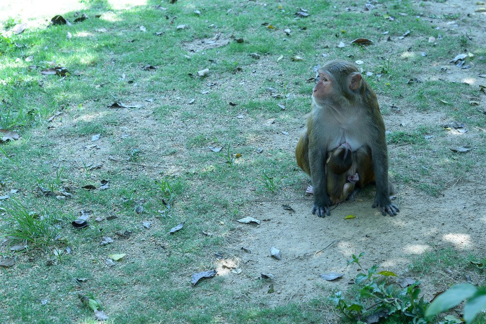 Photograph by Ульяна Юдина