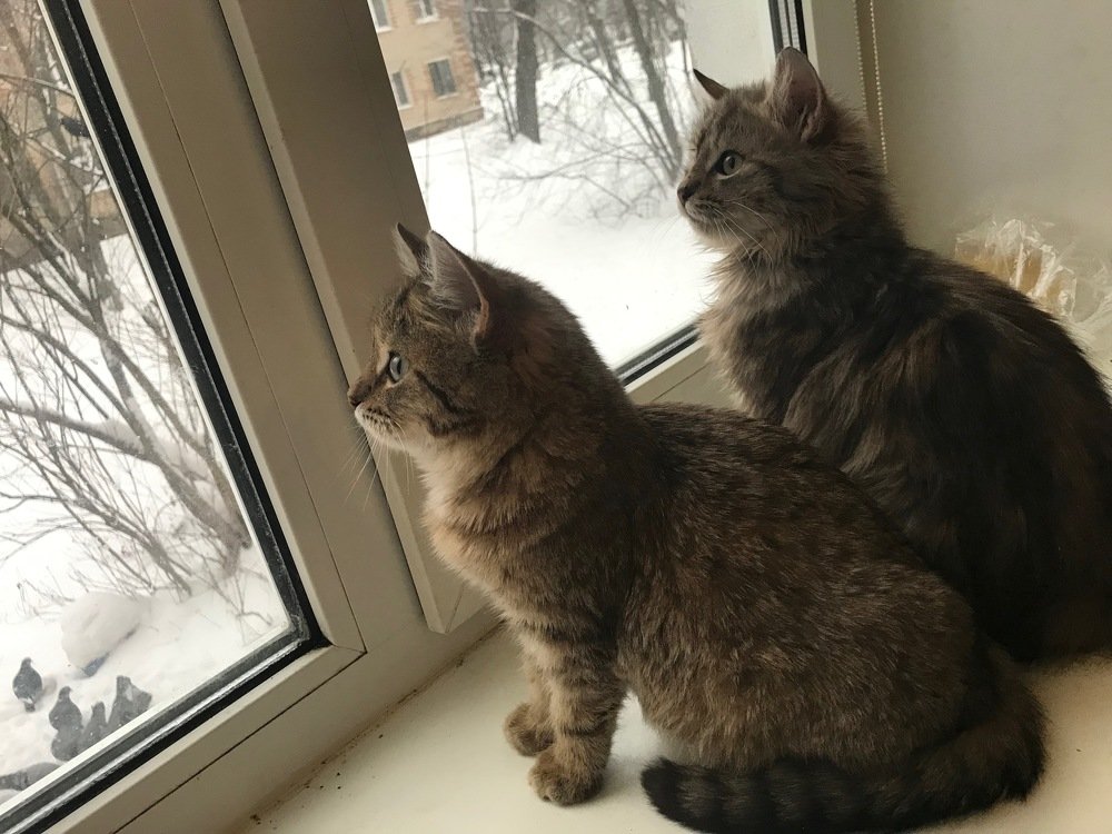 Photograph by Яна Лугинина