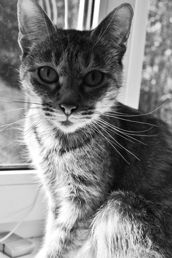 Photograph by Яна Лугинина