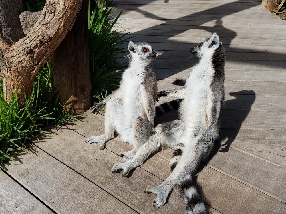 Не говори, кума, у самой муж пьяница